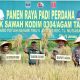 Panen padi perdana dilahan cetak sawah baru di Tiku V Jorong, Kecamatan Tanjung Mutiara, Kabupaten Agam