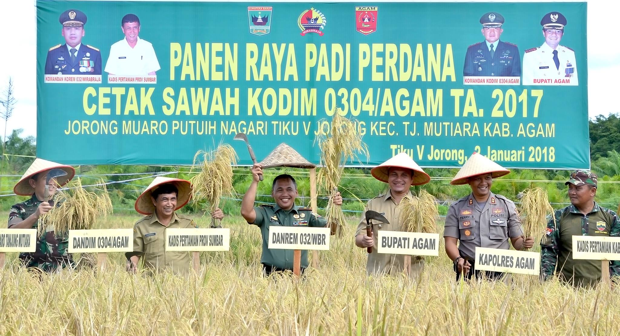 Panen padi perdana dilahan cetak sawah baru di Tiku V Jorong, Kecamatan Tanjung Mutiara, Kabupaten Agam