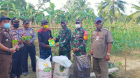 Dinas Ketahanan Pangan dan Pertanian Mentawai Salurkan Bantuan Bibit Holtikultura