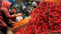 Harga Cabai Merah Melonjak Jelang Idul Adha