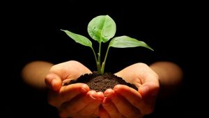 Jaga Kelestarian Alam, Kegiatan Ekonomi Masyarakat Jangan Sampai Merusak Lingkungan