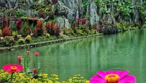 Pentahelix Masuk Unsur Penting Membangun Pariwisata di Suatu Daerah