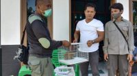 Penyerahan Satwa Dilindungi ke BKSDA Lubuk Basung