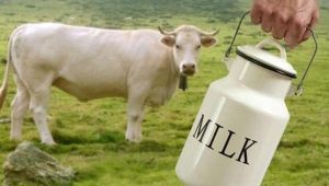 Cegah Penyebaran Covid-19, Pemko Padang Panjang Bagikan Susu Segar Untuk Santri