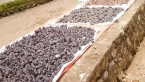 Dukung Kestabilan Harga, Pemkab Pessel Bangun Pabrik Pengolahan Gambir