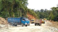 Sumbar Kebut Pembangunan Trans Mentawai