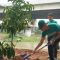 Lestarikan Lingkungan, Antam Bersama Walikota Ibukota Timur Lakukan Penanaman Pohon Serentak