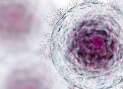 Autologus Stem Cell, Alternatif Pengobatan bagi Pasien Autoimun