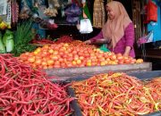 Masa Panen, Harga Cabai dan Bawang Merah Turun
