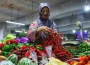 Inflasi Sumbar Mei 2024 Dipicu Naiknya Harga Pangan