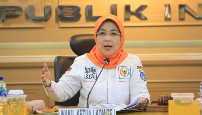 RUU Kabupaten/Kota, Komite I DPD RI Minta Masukan dari Sumbar dan Kepri