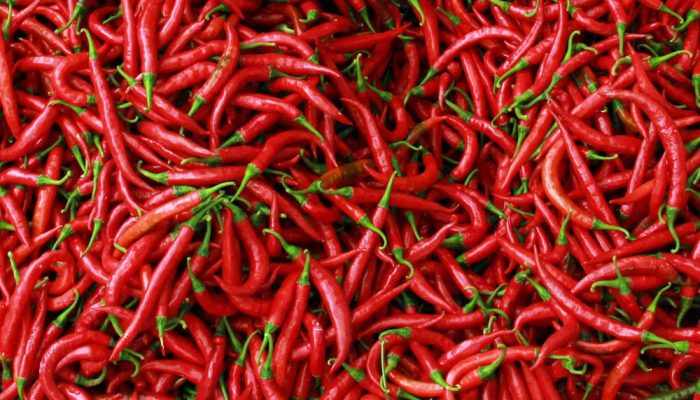 Harga Komoditas di Sumbar Naik, BI Soroti Peluang Ekonomi Berkelanjutan