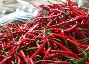 Harga Cabai dan Bawang Turun, Kenaikan Tipis di Komoditas Lain