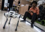 Blue Ocean Strategy: Keuntungan dan Tantangan dalam Bisnis