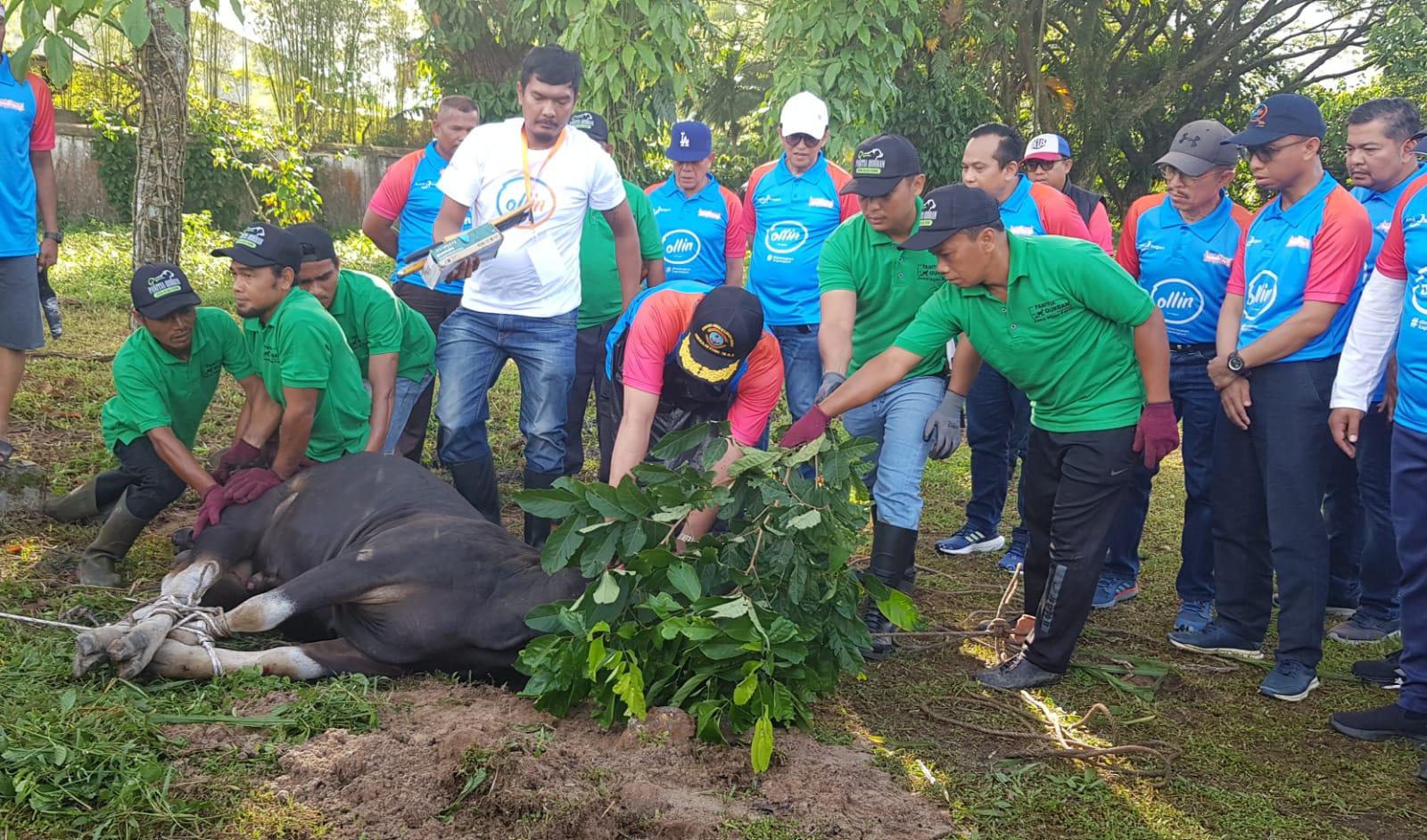 disalurkan-ke-daerah-kekurangan,-gubernur-apresiasi-program-bank-nagari-berkurban