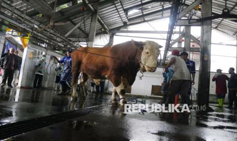 kementan-awasi-578-sapi-kurban-presiden-prabowo-di-seluruh-indonesia