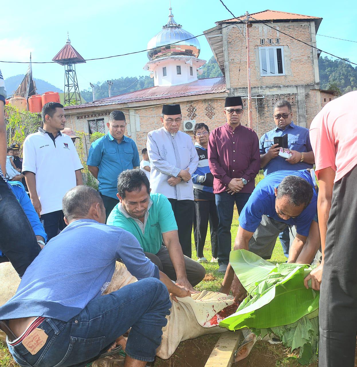 wawako-maigus-saksikan-penyembelihan-hewan-kurban-di-dinsos-padang