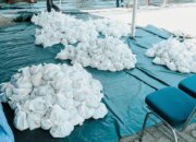 PTPN PalmCo Sebar 61 Ton Daging Kurban ke 50 Kabupaten/Kota