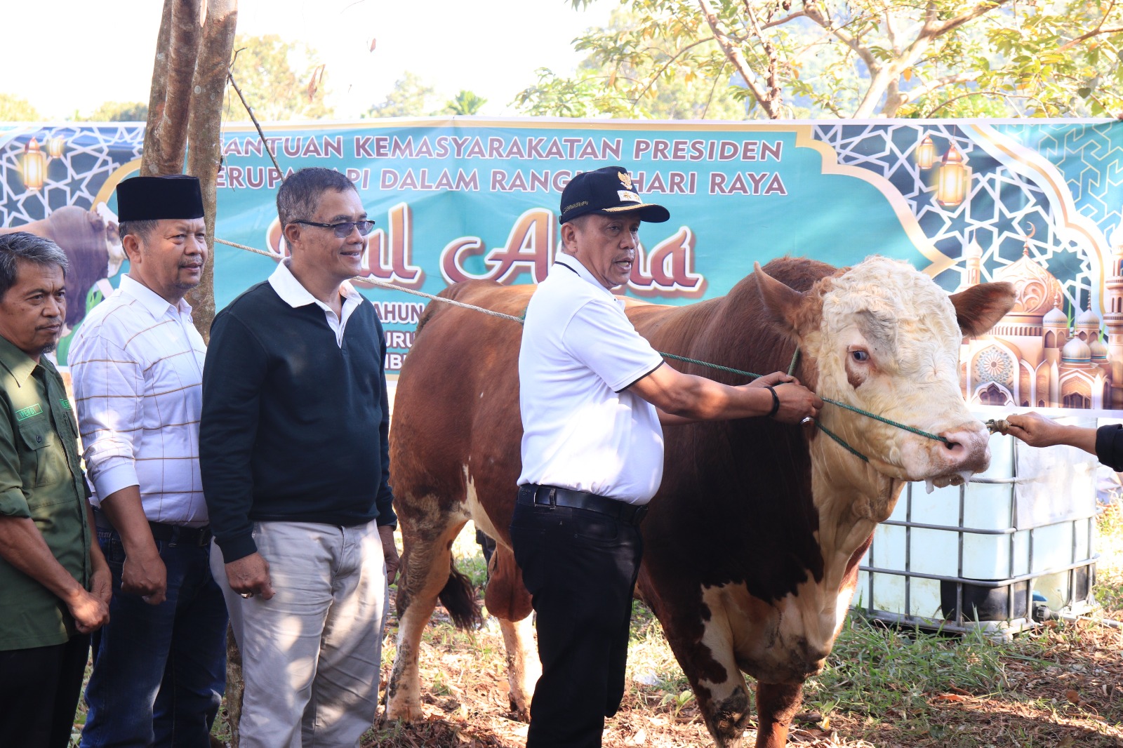 sapi-kurban-presiden-prabowo-di-payakumbuh-berbobot-1,06-ton