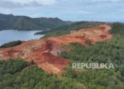 KLH Tindaklanjuti 4 Perusahaan Tambang Nikel di Raja Ampat, Ini Temuannya