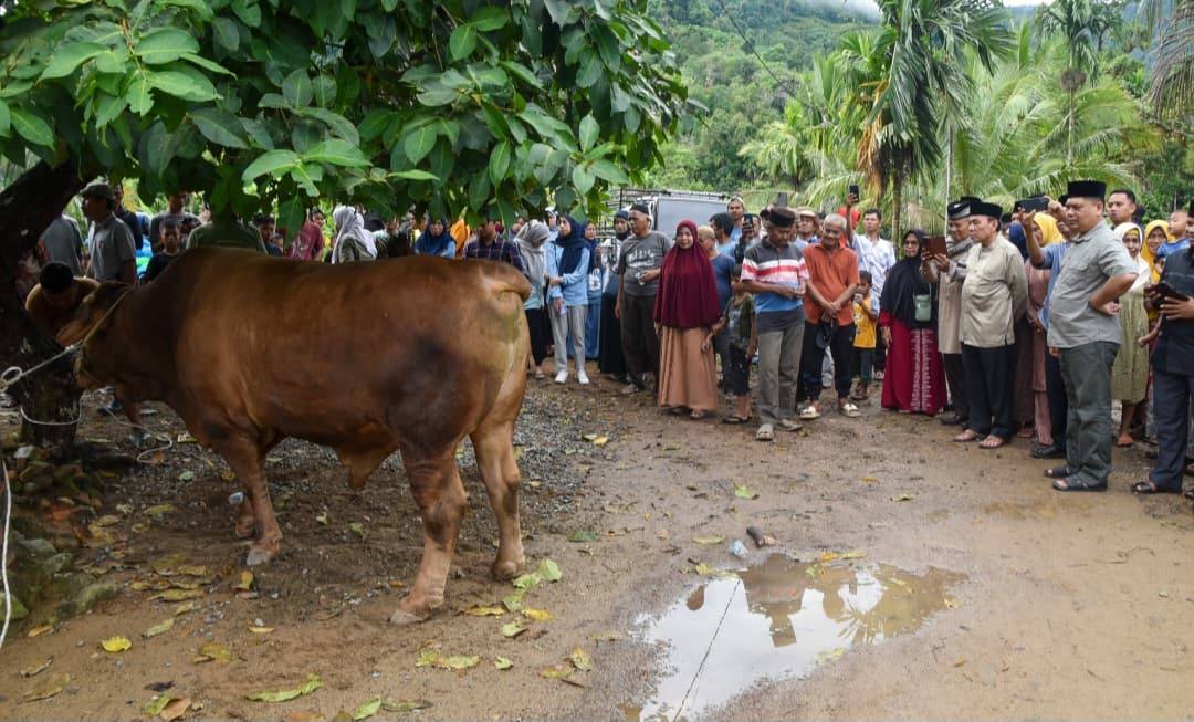 500-kk-di-bungus-kota-padang-dapat-daging-kurban-presiden