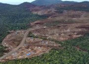Ramai Tambang Nikel di Raja Ampat, Seperti Apa Kronologi dan Penyelesaiannya?
