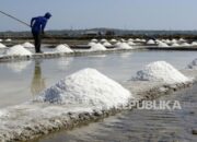 Bangun Industri Garam di NTT, Pemerintah Siapkan Anggaran Rp 750 Miliar