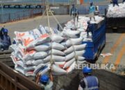 Wamentan Tegaskan Ekspor Beras ke Malaysia tak Ganggu Pasokan Dalam Negeri