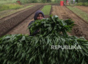 ID FOOD Suplai Pangan untuk Koperasi Desa Merah Putih