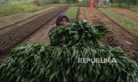 id-food-suplai-pangan-untuk-koperasi-desa-merah-putih