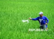 502 Gapoktan Siap Salurkan Pupuk Subsidi, Pemerintah Sederhanakan Prosedur