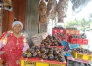 Sering Dijual di Pinggir Jalan, Buah Manggis Paritmalintang Tembus Pasar Taiwan
