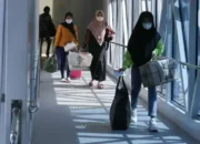 260 Ribu Orang Sudah Nikmati Diskon Tiket Kapal Laut 50%