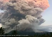 Imbas Erupsi Gunung Lewotobi Laki-laki, Kemenhub Siagakan Kapal Angkut Turis dan Warga