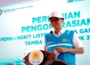 PLN Setor Rp 65 Triliun ke Negara, Ini Rinciannya