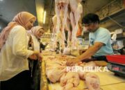 Harga Ayam Anjlok, Badan Pangan Patok Minimal HPP Rp18 Ribu