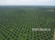 GAKPI-SPKS Kolaborasi, Dukung Kemandirian Ekonomi Petani Sawit