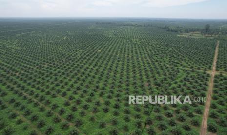 gakpi-spks-kolaborasi,-dukung-kemandirian-ekonomi-petani-sawit