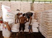 Wamentan: Dulu Petani Cari Pupuk, Sekarang Pupuk yang Cari Petani