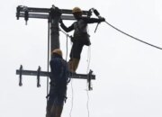 Buah Manis Transformasi, PLN IP Cetak Pendapatan Rp 110,58 Triliun