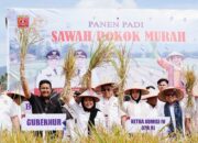 Ketua Komisi IV DPR RI Titiek Soeharto Minta Metode Pertanian Sawah Pokok Murah di Sumbar Diterapkan di Daerah Lain