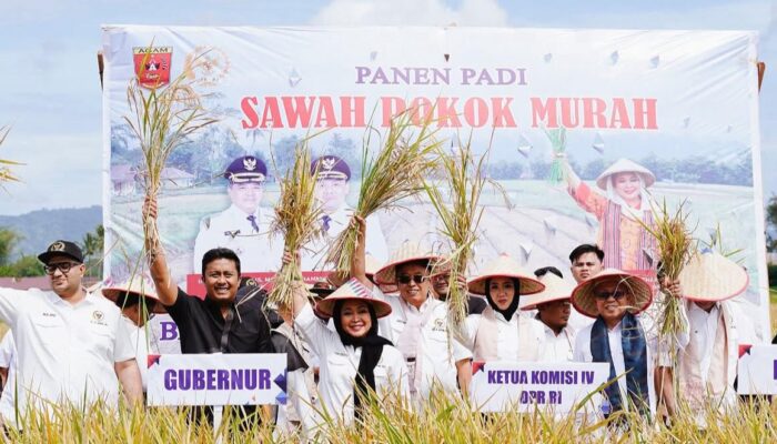 Ketua Komisi IV DPR RI Titiek Soeharto Minta Metode Pertanian Sawah Pokok Murah di Sumbar Diterapkan di Daerah Lain