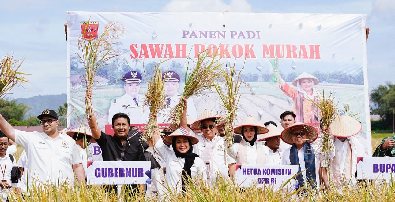 ketua-komisi-iv-dpr-ri-titiek-soeharto-minta-metode-pertanian-sawah-pokok-murah-di-sumbar-diterapkan-di-daerah-lain