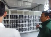 Bapanas Minta Bahan Pangan Ayam dan Telur SPPG dari Peternak Kecil