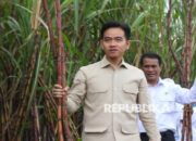 Wapres Gibran: Pemerintah Komit Dukung Petani Tebu Capai Swasembada Gula
