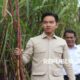 wapres-gibran:-pemerintah-komit-dukung-petani-tebu-capai-swasembada-gula