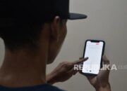 Apindo Dukung PPh 22 untuk Pedagang Online, Ini Alasannya