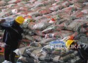 85 Persen Beras Premium tak Sesuai Standar, Pemerintah Ancam Tindak Tegas