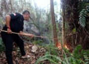 Lahan Hutan seluas 3 Hektar di Balai Gadang Padang Terbakar