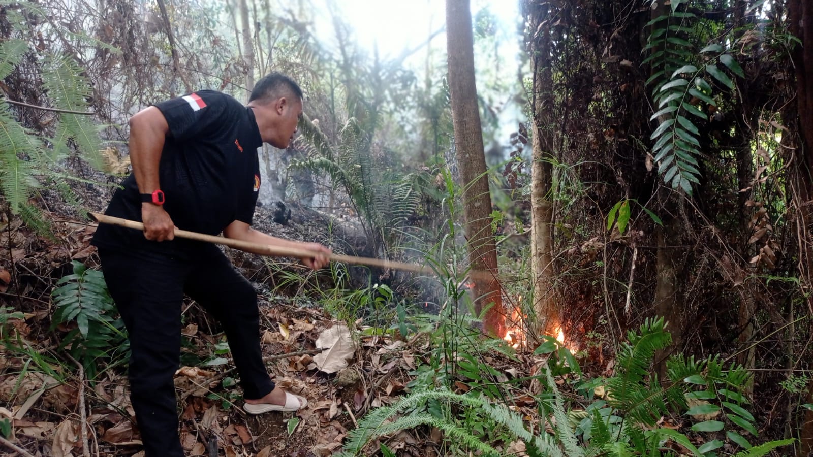 lahan-hutan-seluas-3-hektar-di-balai-gadang-padang-terbakar